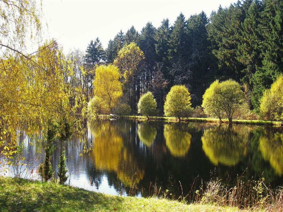 Lasdon Park and Arboretum in Somers NY