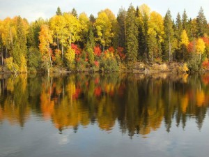 fall foliage along river