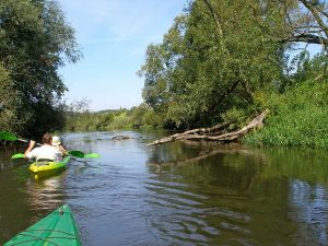 Kayaking in Wappingers Creek