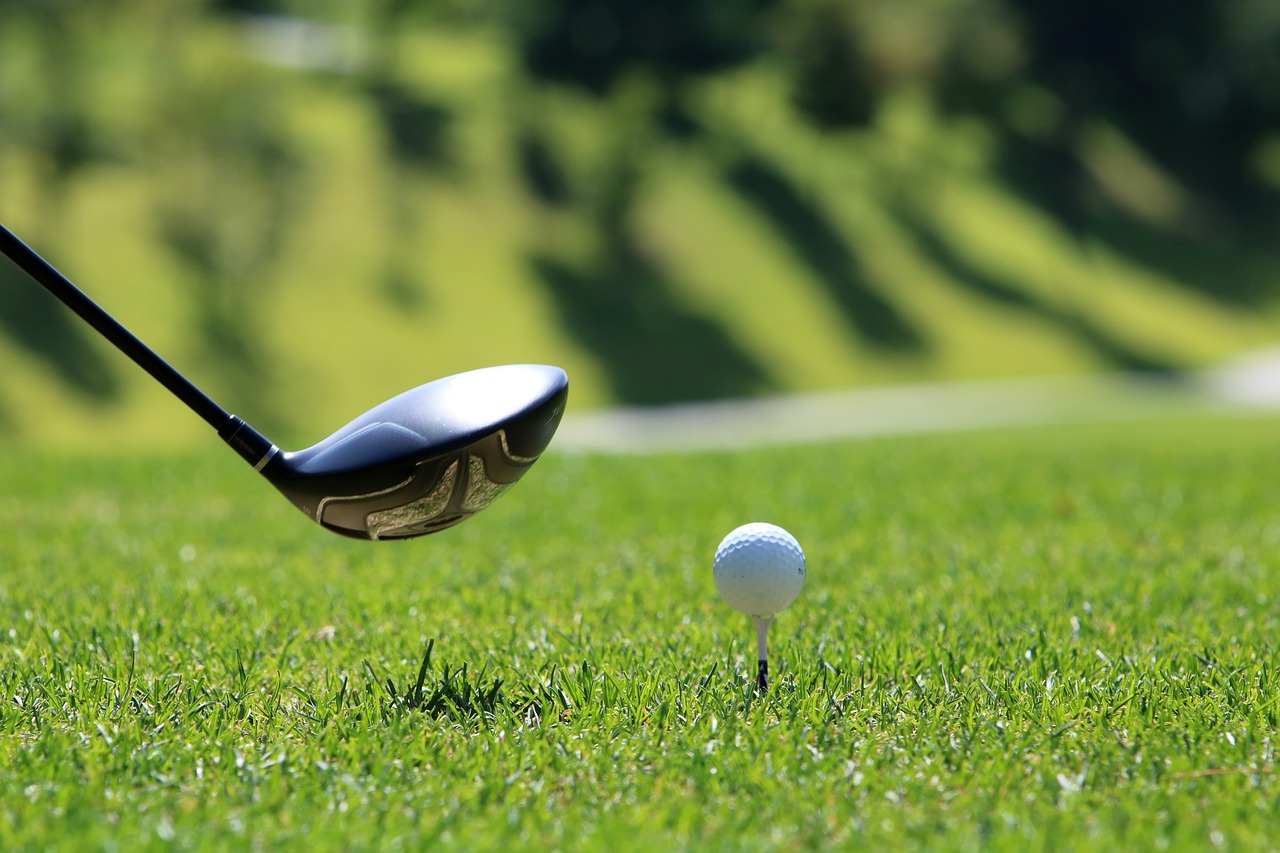 White Plains Movers golf course hole