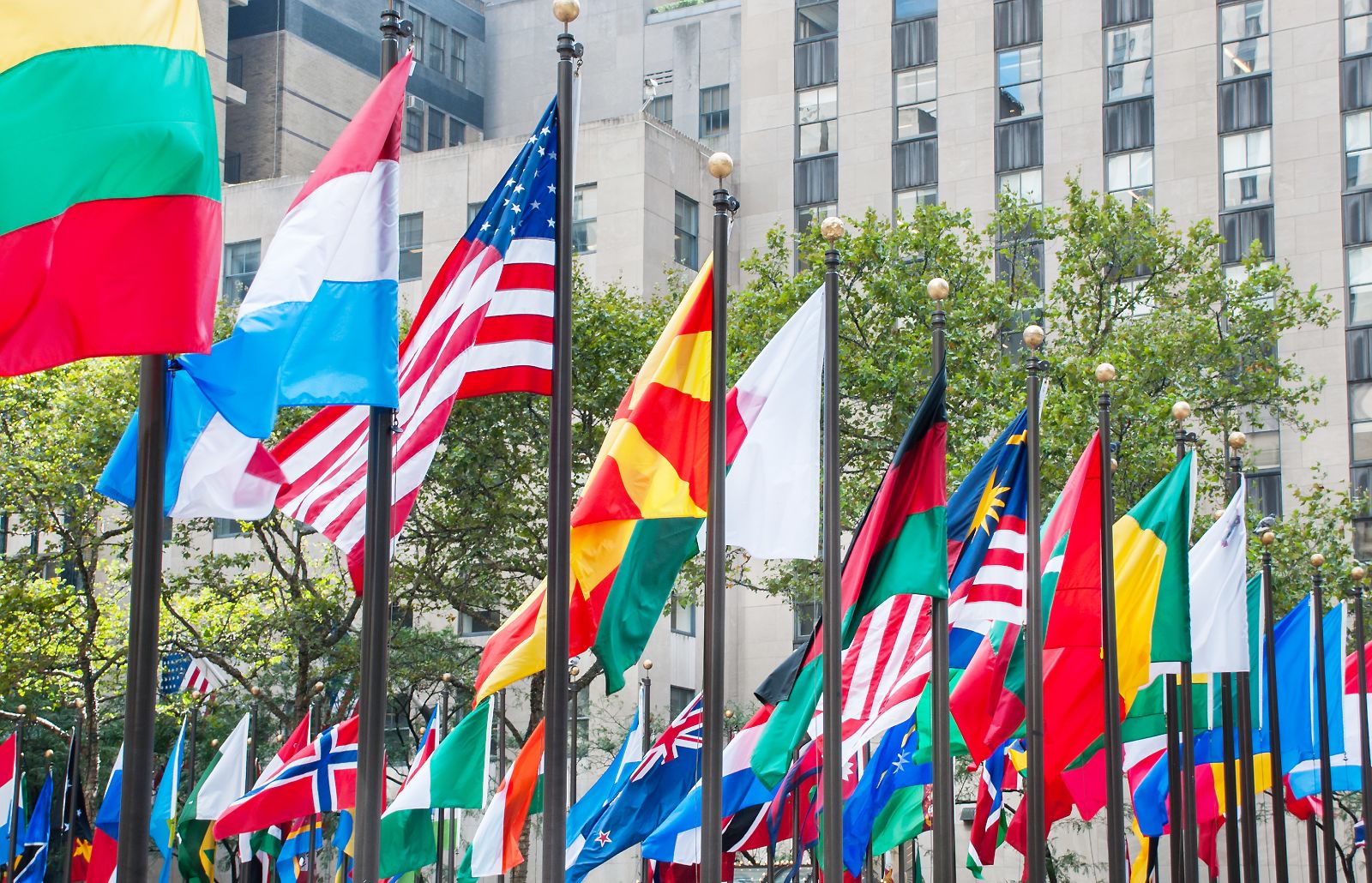 Flags of many nations on a sunny day